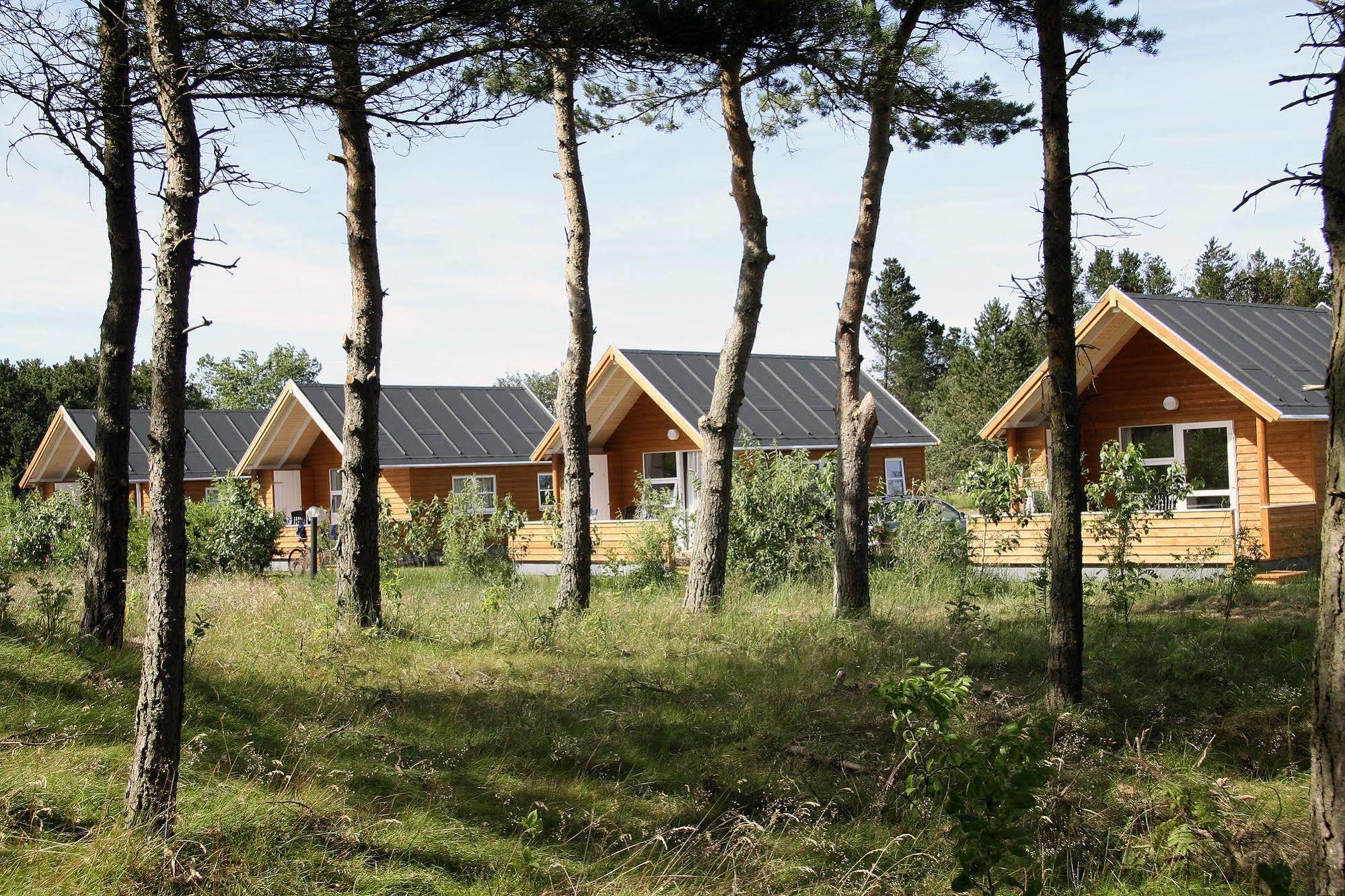 فندق First Camp Rabjerg Mile - سكاغن المظهر الخارجي الصورة
